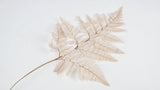 Leather fern preserved - 10 stems - Coffee