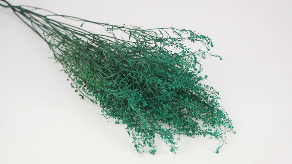  Lepidium preserved - 1 bunch - Turquoise-green