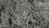 Lichen preserved - 2,5 kg - Black