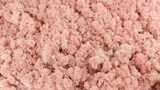 Lichen preserved - 5 kg - Light pink