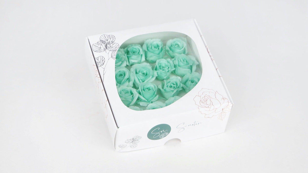 Preserved roses 1 cm - 16 heads - Mint – Si-nature