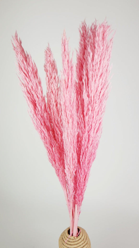 Dried Pampa Grass 90 cm - 6 stems - Light pink