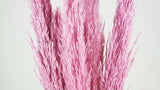 Dried Pampa Grass 90 cm - 6 stems - Pink