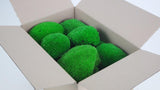 Ball moss preserved - small box - Light green