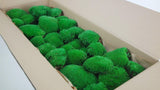 Konserviertes Kugelmoos - große Packung - Grün - Si-nature