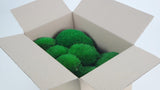 Ball moss preserved - small box - Green