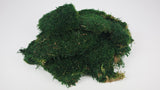 Flat moss preserved - 500 g - Darkgreen
