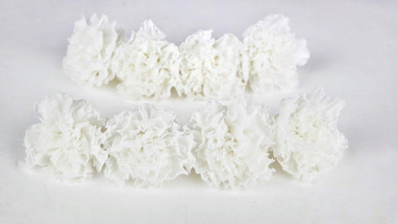 Carnations preserved Kiara - 8 heads - Pure white