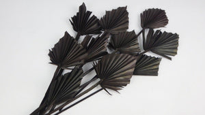 Dried Palm spear S - 10 stems - Black