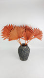 Palm Sun - 6 stems - Amber
