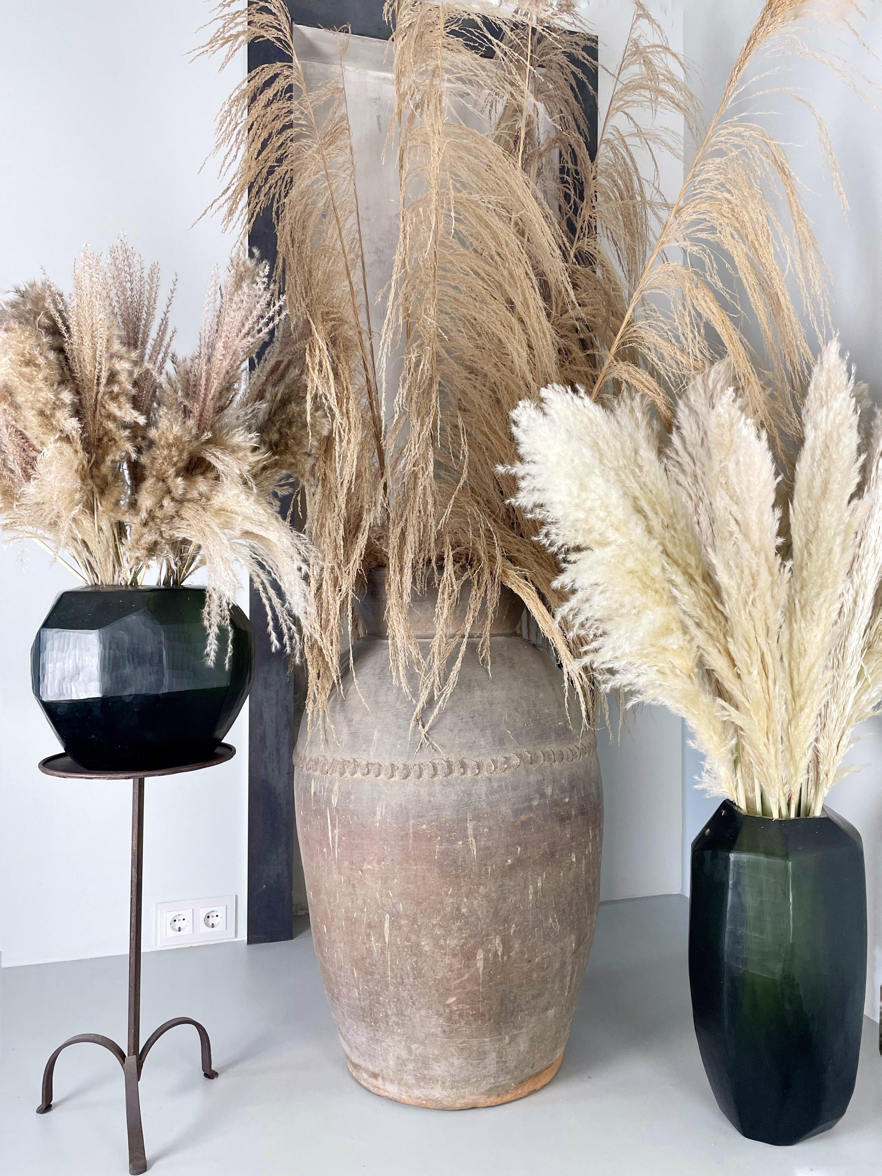 Preserved Pampas Grass Bunch  Grass decor, Black vase, Pampas grass decor