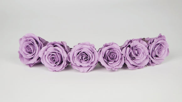 Stabilisierte Rosen 4,5 cm - 6 Stück - Parma lila