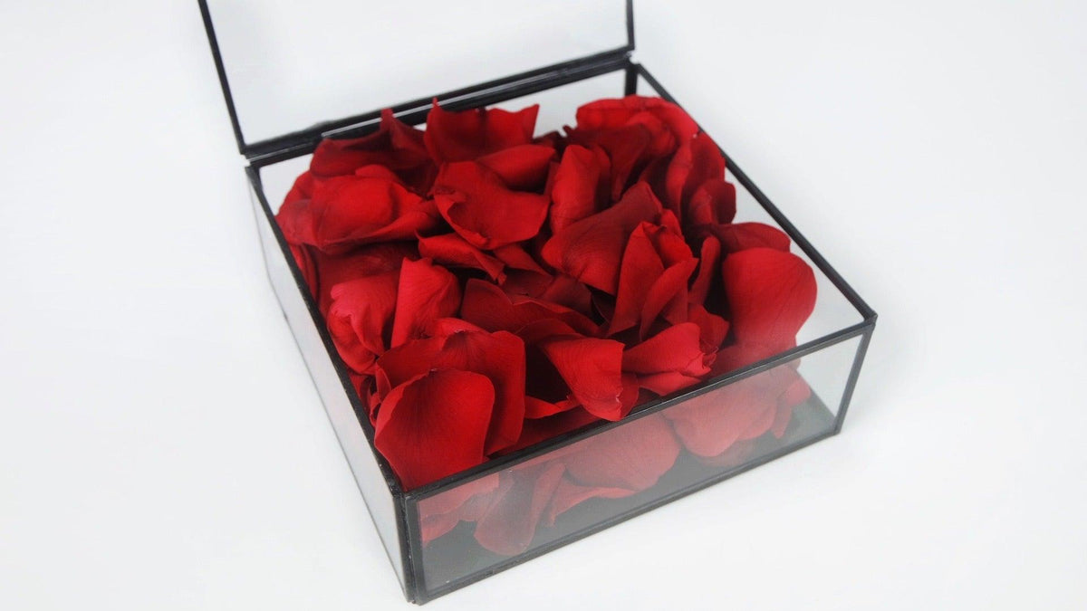 Rose petals - box - Vibrant red – Si-nature