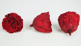 Preserved roses romantic 5 cm - 6 rose heads - Light red
