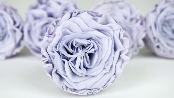 Stabilisierte Rosen Romantik 5 cm - 6 Stück - Lavendel