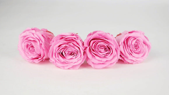 Roses stabilisées 5,5 cm - 4 têtes - Rose