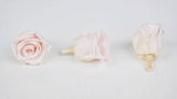 Stabilisierte Rosen Kiara 2 cm - 12 Stück - Pink blush - Si-nature