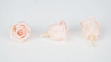 Stabilisierte Rosen Kiara 2 cm - 12 Stück - Porcelain pink - Si-nature