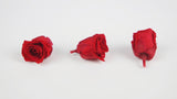 Stabilisierte Rosen Kiara 2 cm - 12 Stück - Vibrant red - Si-nature