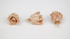 Preserved roses Kiara  3 cm - 9 rose heads - Nude