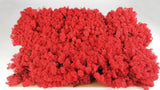 Lichen preserved - 2,5 kg - Red