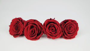 Roses stabilisées 5,5 cm - 4 têtes - Rouge