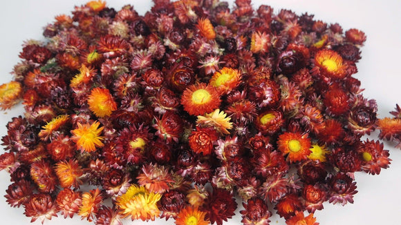 Strohblumen Köpfe - 200 g - Naturfarbe Rot