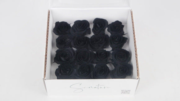Stabilisierte Rosen 1 cm - 16 Stück - Schwarz - Si-nature