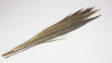 Broom Grass - 1 bunch - Natural colour