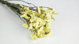 Dried statice - 1 bunch  - Natural colour Lemon