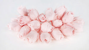 Rosenblütenknospen konserviert Earth Matters - 20 Köpfe - Bridal pink 101 - Si-nature