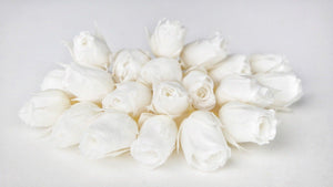 Rosenblütenknospen konserviert Earth Matters - 20 Köpfe - Pure white 001 - Si-nature