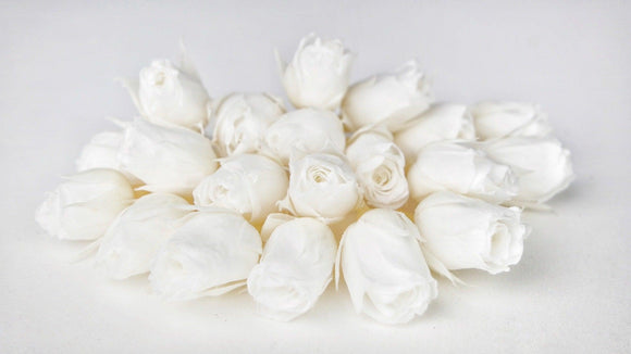 Rose flower buds preserved Earth Matters - 20 heads - Pure white 010