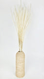 Tail Grass - 1 Bunch - Ivory
