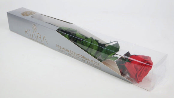 Rose stabilisée de luxe avec tige 30 cm Kiara - 1 pièce - Vibrant red