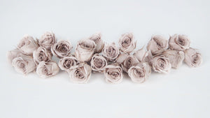 Rosen konserviert Vivian Earth Matters - 24 Köpfe - Pink beige 081 - Si-nature