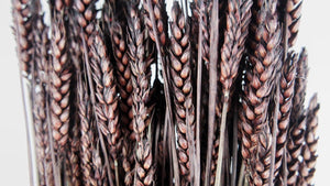 Weizen getrocknet - 1 Bund - Deep brown - Si-nature