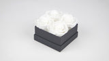 Stabilisierte Rosen 6,5 cm - 6 Stück - Weiß